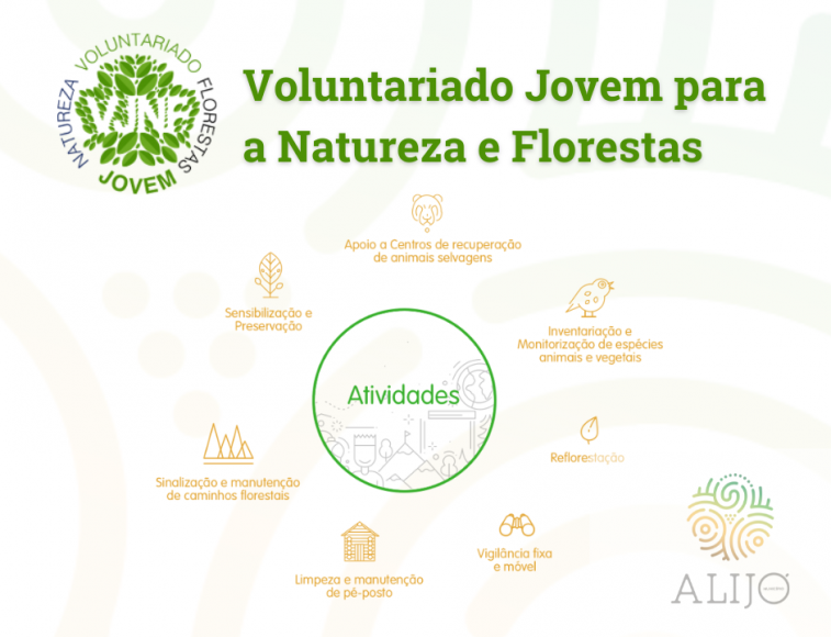 Abertas inscri&ccedil;&otilde;es para Voluntariado Jovem para a Natureza e Florestas